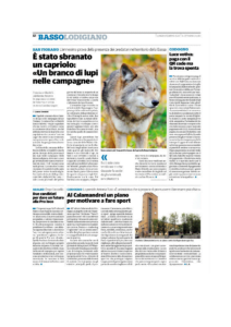 Progetto sportivo Calamandrei